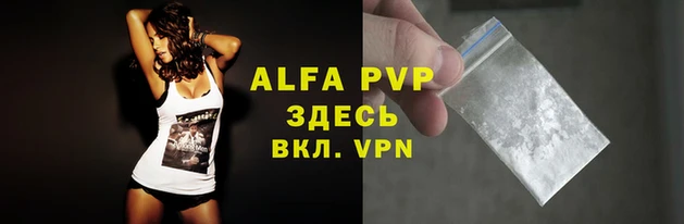 таблы Бородино
