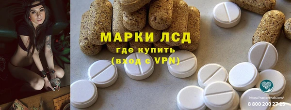 таблы Бородино