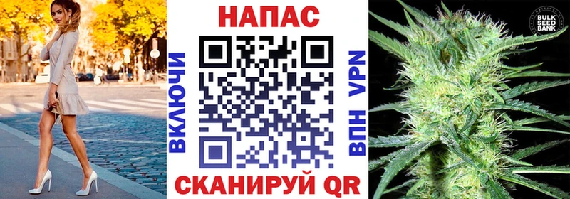 Купить где  Городище  Бошки марихуана ГИДРОПОН 